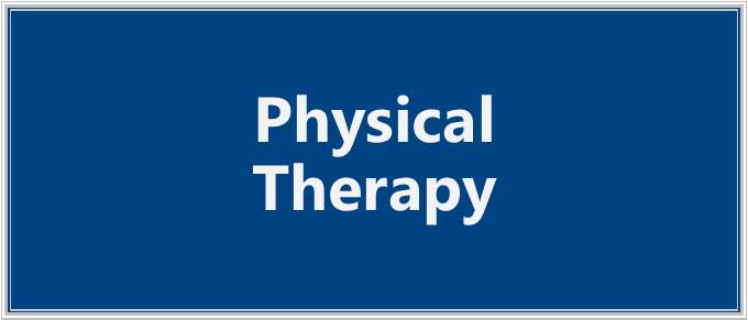 learn more about physical therapy